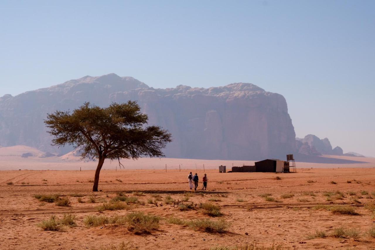 Wadi Rum Fig Tree Camp מראה חיצוני תמונה